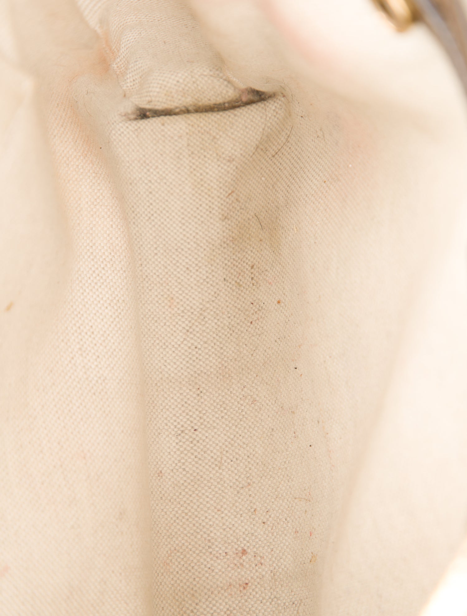 Gucci GG Supreme Ophidia